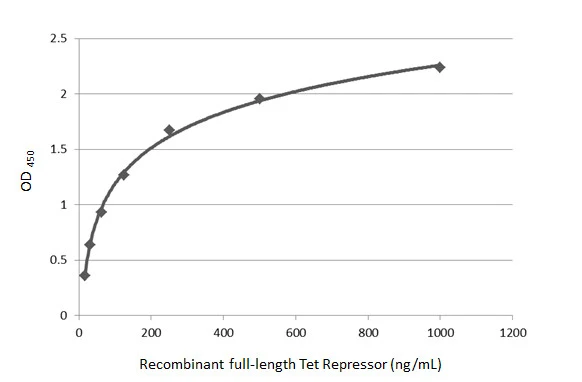Tet Repressor antibody