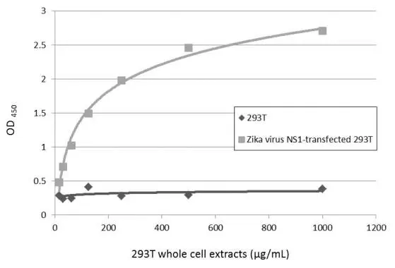 Sandwich ELISA detection of non-transfected and transfected 293T whole cell extracts using GTX133324 as capture antibody at concentration of 5 μg/mL and GTX634158 as detection antibody at concentration of 1 μg/mL. Mouse IgG antibody (HRP) (GTX213111-01) was diluted at 1:10000 and used to detect the primary antibody. Sandwich ELISA detection of non-transfected and transfected 293T whole cell extracts using GTX133324 as capture antibody at concentration of 5 μg/mL and GTX634158 as detection antibody at concentration of 1 μg/mL. Mouse IgG antibody (HRP) (GTX213111-01) was diluted at 1:10000 and used to detect the primary antibody.