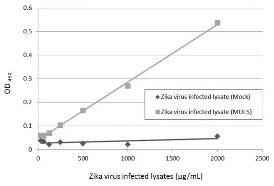 Sandwich ELISA detection of Zika virus-infected lysate using GTX634155 as capture antibody at concentration of 5 μg/mL and GTX133326 as detection antibody at concentration of 1 μg/mL. Rabbit IgG antibody (HRP) (GTX213110-01) was diluted at 1:10000 and used to detect the primary antibody.