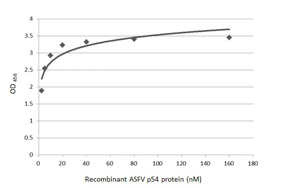 ASFV p54 antibody