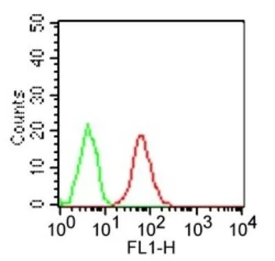 FACS analysis of human B cells using GTX13915 TLR3 antibody [40C1285.6]. Red : primary antibody Green : isotype control Dilution : 1 ug/1 x 10? cells