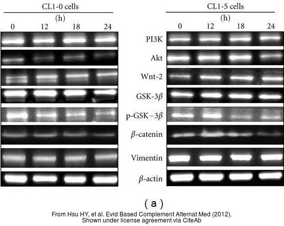 The data was published in the journal Evid Based Complement Alternat Med in 2012.PMID: 23320038