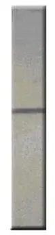 WB analysis of Calretinin recombinant protein using GTX14689 Calretinin antibody. Dilution : 1:500