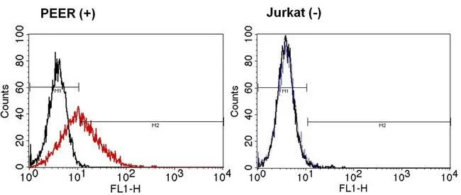 FACS analysis of TCR gamma/delta on TCR gamma/delta positive PEER cells(left panel) or TCR gamma/delta negative Jurkat cells(right panel) using GTX15594 TCR gamma + delta antibody [5A6.E9]. Dilution : 5ul of primary antibody were used per test