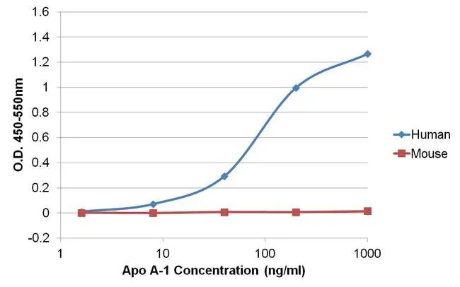 Sandwich ELISA analysis of recombinant human Apo A-1 or recombinant mouse Apo A-1 protein ranging from 1.6 to1000 ng/ml using GTX15657 Apolipoprotein A1 antibody [311] (detection antibody) and Apo A-1 rabbit monoclonal antibody (capture antibody).