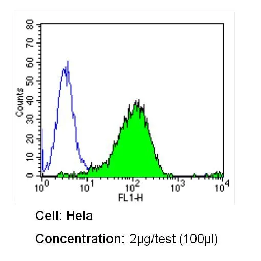 FACS analysis of Hela cells using GTX15833 CD26 antibody [236.3] compared to an isotype control (blue). Dilution : 2 ug/test for 60 min at room temperature Fixation : 2% paraformaldehyde