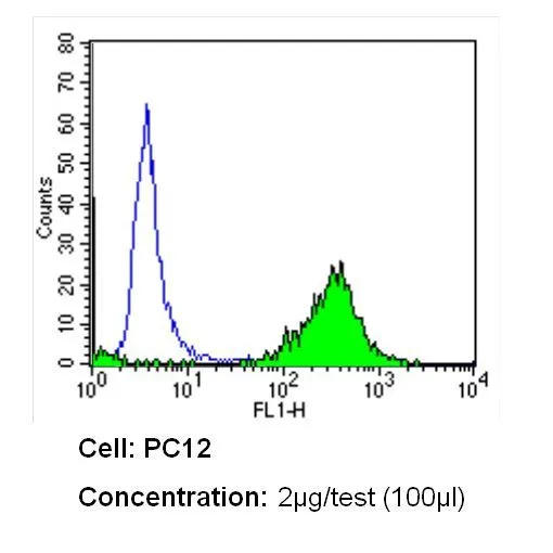 FACS analysis of PC12 cells using GTX15833 CD26 antibody [236.3] compared to an isotype control (blue). Dilution : 2 ug/test for 60 min at room temperature Fixation : 2% paraformaldehyde