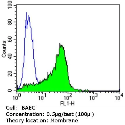 FACS analysis of BAEC cells using GTX15842 CD31 antibody [HEC7] compared to an isotype control (blue). Dilution : 0.5 ug/test for 60 min at room temperature Fixation : 2% paraformaldehyde