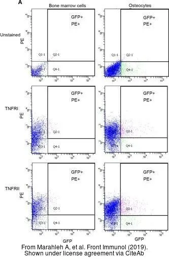 The data was published in the journal Front Immunol in 2019. PMID: 31921183 The data was published in the journal Front Immunol in 2019. PMID: 31921183