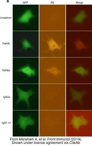 The data was published in the journal Front Immunol in 2019. PMID: 31921183