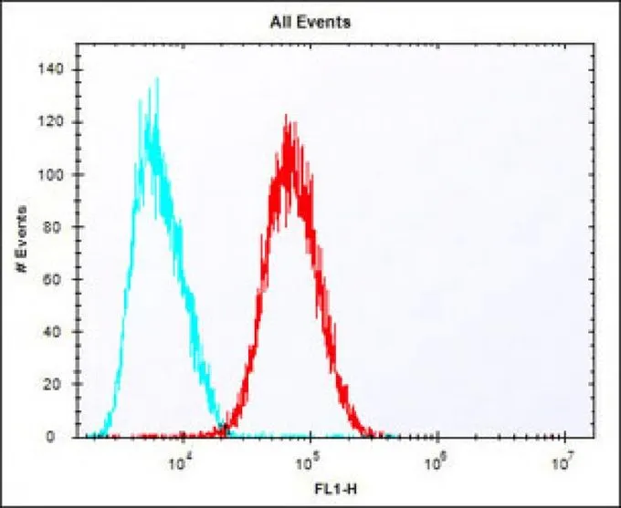FACS analysis of HepG2 cells using GTX16256 Epiregulin antibody. Red : Epiregulin Blue : Isotype control Fixation : 2% paraformaldehyde (PFA) (10 min) Permeabilization : 90% methanol (10 min) Dilution : 1:25