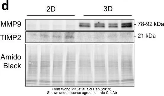 The data was published in the journal Sci Rep in 2019.PMID: 31471547