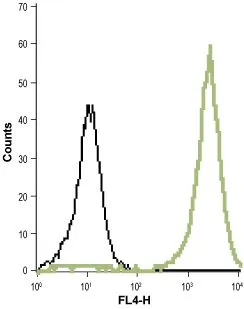 FACS analysis of THP-1 cells using GTX16725 Maxi Potassium channel alpha antibody. Black : Unstained cell Green : Cell staining with primary antibody Dilution : 1:20