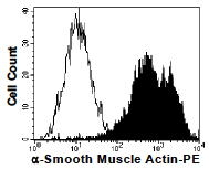 Intracellular staining of the mouse fibroblast cell line L929 with GTX17501 (filled histogram) or with isotype control (open histogram).
