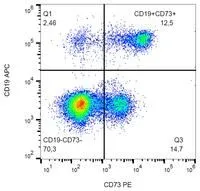 FACS analysis of human peripheral blood cells using GTX17626-08 CD73 antibody [AD2] (PE).