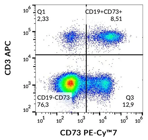 FACS analysis of human peripheral blood using GTX17626-10 CD73 antibody [AD2] (PE-Cy7).