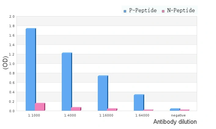 ELISA analysis of P (phospho-) and N (non phosho-) immunogen peptide using GTX17679 CDC25C (phospho Thr48) antibody. Peptides concentration: 1microg/ml ELISA analysis of P (phospho-) and N (non phosho-) immunogen peptide using GTX17679 CDC25C (phospho Thr48) antibody. Peptides concentration: 1microg/ml