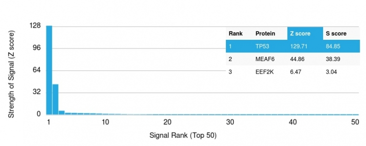 Analysis of Protein Array containing more than 19,000 full-length human proteins using p53 Mouse Monoclonal Antibody (rTP53/1739). Z- and S- Score: The Z-score represents the strength of a signal that a monoclonal antibody produces when binding to a particular protein on the HuProtTM array. Z-scores are described in units of standard deviations (SDs) above the mean value of all signals generated on that array. If targets on HuProtTM are arranged in descending order of the Z-score, the S-score is the difference (also in units of SDs) between the Z-score. S-score therefore represents the relative target specificity of a Monoclonal Antibody to its intended target. A Monoclonal Antibody is considered to specific to its intended target if the Monoclonal Antibody has an S-score of at least 2.5. For example, if a Monoclonal Antibody binds to protein X with a Z-score of 43 and to protein Y with a Z-score of 14, then the S-score for the binding of that Monoclonal Antibody to protein X is equal to 29.