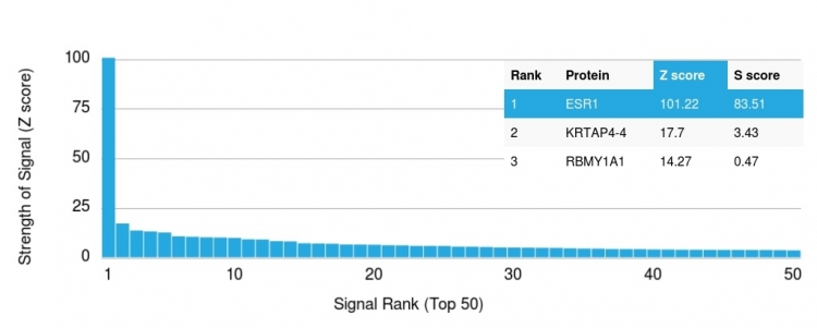 Analysis of Protein Array containing more than 19,000 full-length human proteins using Estrogen Receptor alpha Mouse Monoclonal Antibody (ESR1/1935). Z- and S- Score: The Z-score represents the strength of a signal that a monoclonal antibody produces when binding to a particular protein on the HuProtTM array. Z-scores are described in units of standard deviations (SDs) above the mean value of all signals generated on that array. If targets on HuProtTM are arranged in descending order of the Z-score, the S-score is the difference (also in units of SDs) between the Z-score. S-score therefore represents the relative target specificity of a Monoclonal Antibody to its intended target. A Monoclonal Antibody is considered to specific to its intended target if the Monoclonal Antibody has an S-score of at least 2.5. For example, if a Monoclonal Antibody binds to protein X with a Z-score of 43 and to protein Y with a Z-score of 14, then the S-score for the binding of that Monoclonal Antibody to protein X is equal to 29.