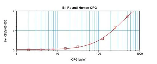 ELISA analysis of human OPG recombinant protein(0.2 - 0.4 ng/well) using GTX18068 OPG antibody (Biotin)(detection antibody) at 0.25- 1.0 ug/ml and Anti-Human OPG as a capture antibody.