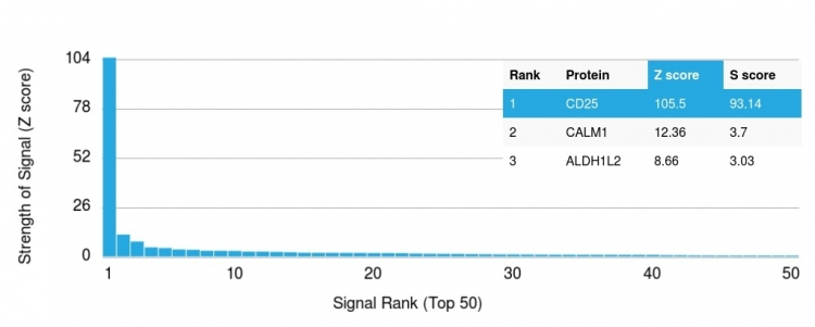 Analysis of Protein Array containing more than 19,000 full-length human proteins using CD25 Mouse Monoclonal Antibody (IL2RA/2395). Z- and S- Score: The Z-score represents the strength of a signal that a monoclonal antibody produces when binding to a particular protein on the HuProtTM array. Z-scores are described in units of standard deviations (SDs) above the mean value of all signals generated on that array. If targets on HuProtTM are arranged in descending order of the Z-score, the S-score is the difference (also in units of SDs) between the Z-score. S-score therefore represents the relative target specificity of a Monoclonal Antibody to its intended target. A Monoclonal Antibody is considered to specific to its intended target if the Monoclonal Antibody has an S-score of at least 2.5. For example, if a Monoclonal Antibody binds to protein X with a Z-score of 43 and to protein Y with a Z-score of 14, then the S-score for the binding of that Monoclonal Antibody to protein X is equal to 29.