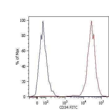 Detection of CD34 in human chronic myeloid leukemia cell line MOLM-7 with anti-human CD34 [4H11[APG]]: PE (GTX18228).