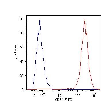 Surface staining of Kg-1a human acute myelogenous leukemia cell line with anti-human CD34 [4H11[APG]] FITC (GTX18227). Total viable cells were used for analysis.
