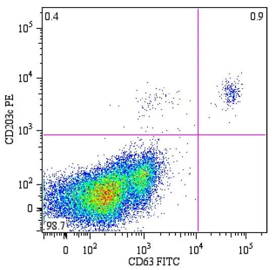 Flow cytometry analysis of peripheral blood lymphocytes from a patient with allergy to bee venom after stimulation with bee venom,stained with anti-human CD63 [MEM-259] FITC (GTX18235)
