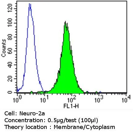 FACS analysis of Neuro-2a cells using GTX19389 Her3 / ErbB3 antibody [RTJ2] compared to an isotype control (blue). Dilution : 0.5 ug/test for 60 min at room temperature Fixation : 2% paraformaldehyde