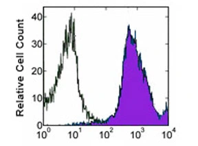 Staining of C57 splenocytes with Anti-Mouse CD44: Biotin (purple histogram) or Rat IgG2b Isotype Control: Biotin (open histogram) followed by UltraAvidin: PE Staining of C57 splenocytes with Anti-Mouse CD44: Biotin (purple histogram) or Rat IgG2b Isotype Control: Biotin (open histogram) followed by UltraAvidin: PE