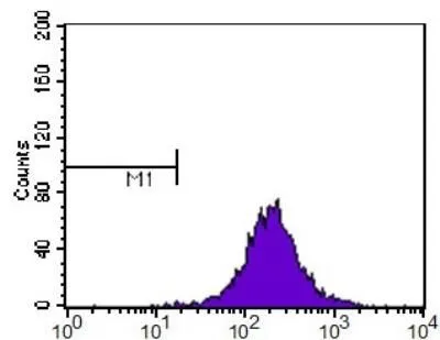 FACS analysis of HeLa cells using GTX20003 SR-BI antibody. M1 is defined by unstained cells. Purple : primary antibody Dilution : 1:400