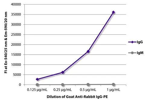 ELISA analysis of purified rabbit IgG and IgM using serially diluted GTX20309 Rabbit IgG (Heavy chain) antibody (PE).