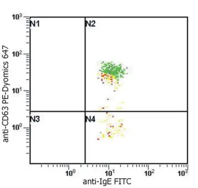 Flow Cytometry analysis of basophil activation upon stimulation of normal (heparin-treated) whole blood with combination of IL-3 and Goat anti-IgE polyclonal antibody. Combination of anti-human IgE (GTX20775): FITC and anti-human CD63 (MEM-259): PE-Dyomics 647 (GTX79965) was used (analysis in basophil window). Fig. 1A - staining of non-stimulated (control) sample Fig. 1B - staining of IgE stimulated sample Flow Cytometry analysis of basophil activation upon stimulation of normal (heparin-treated) whole blood with combination of IL-3 and Goat anti-IgE polyclonal antibody. Combination of anti-human IgE (GTX20775): FITC and anti-human CD63 (MEM-259): PE-Dyomics 647 (GTX79965) was used (analysis in basophil window). Fig. 1A - staining of non-stimulated (control) sample Fig. 1B - staining of IgE stimulated sample