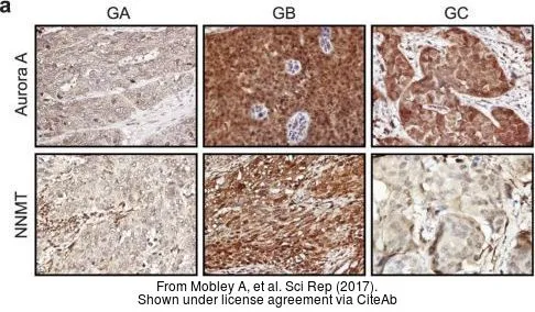 The data was published in the journal Sci Rep in 2017. PMID: 28102366