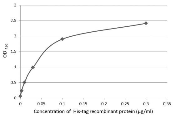 An ELISA plate is coated with 50 uL of a 6x-His recombinant protein conjugated BSA at concentration ranged from 0.003 ug/mL to 3 ug/mL.