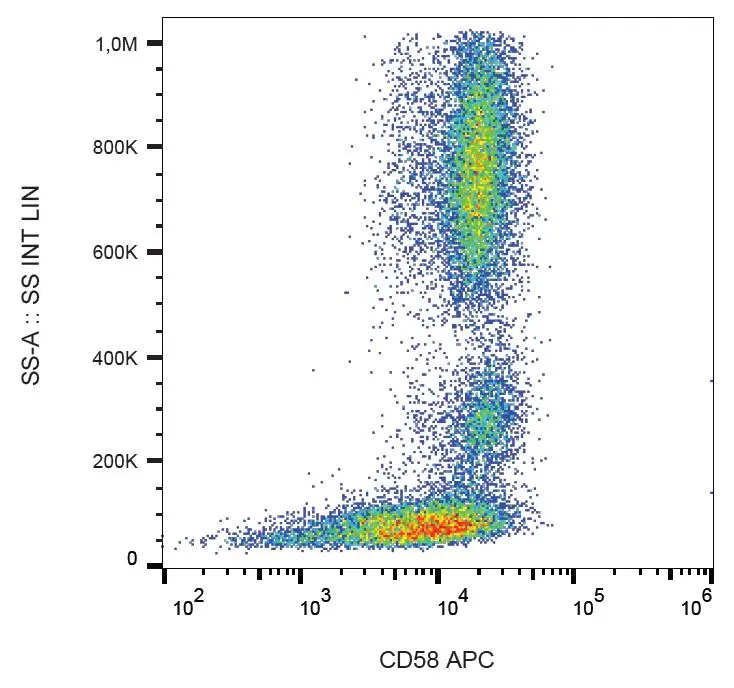 FACS analysis of human peripheral blood using GTX21420-07 CD58 antibody [MEM-63] (APC).