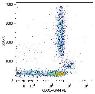 FACS analysis of human peripheral blood using GTX22210 CD31 antibody [MEM-05].