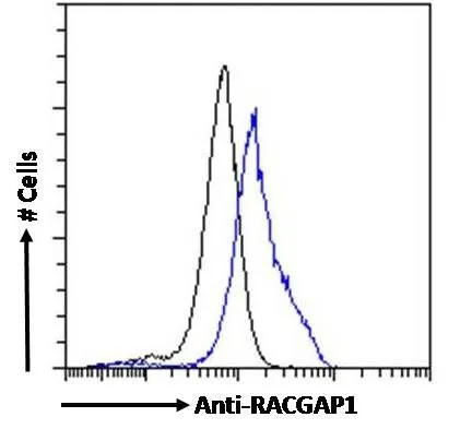 FACS analysis of PFA fixed MCF7 cells using GTX22270 RACGAP1 antibody. Blue : Primary antibody Black : Isotype control Permeabilization : 0.5% Triton Dilution : 10microg/ml