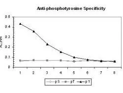 ELISA of Mouse anti-phosphotyrosine antibody (GTX22287). Antigen: BSA conjugates of pT, pY and pS. Coating amount: 0.1 microg per well. Primary antibody: Phosphotyrosine antibody at 1:1000. Dilution series (X-axis): 2-fold. Secondary antibody: HRP conjugated Gt-a-Mouse IgG H&L secondary antibody at 1:20,000. Substrate: TMB