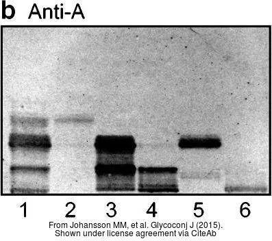 The data was published in the journal Glycoconj J in 2015.PMID: 26104834