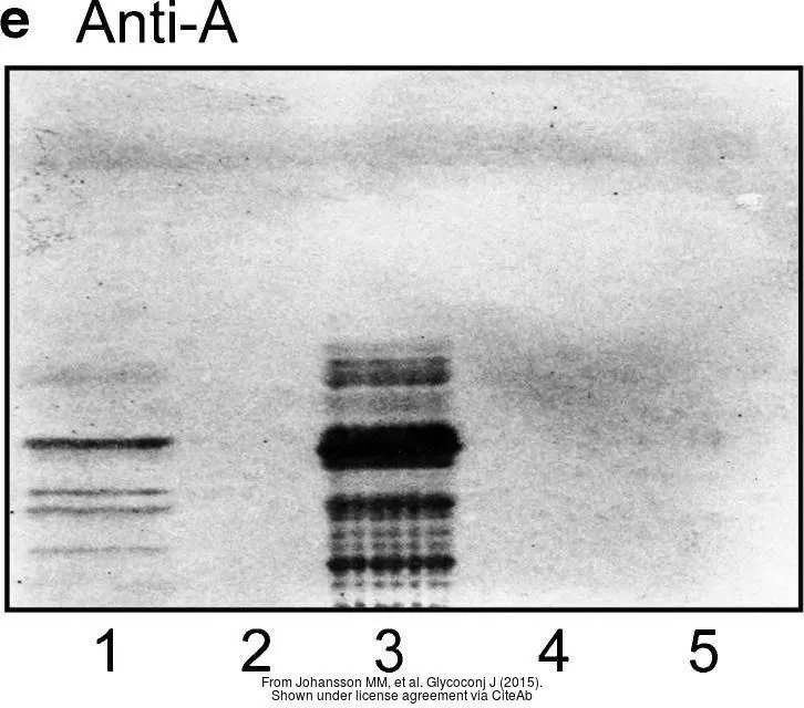 The data was published in the journal Glycoconj J in 2015.PMID: 26104834