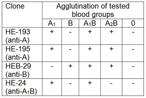 Agglutination analysis of particular blood groups using GTX22524 Blood Group B antigen antibody [HEB-29].