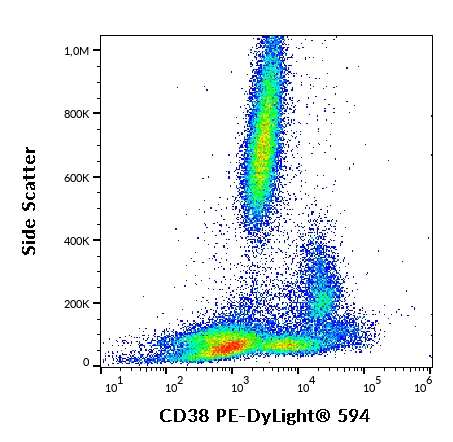 FACS analysis of human peripheral blood using GTX22577-14 CD38 antibody [HIT2] (PE-DyLight 594). Antibody amount : 4 microl reagent / 100 microl of peripheral whole blood