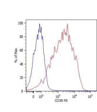 Surface staining of PHA stimulated human peripheral blood lymphocytes with anti-human CD38: PE (GTX80118).