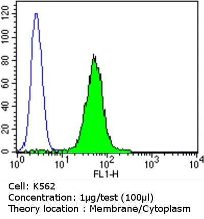 ICC/IF analysis of MDCK cells using GTX22792 PDI antibody [RL90]. Permeabilization : 0.1% Triton X-100 Dilution : 10 ug/ml in blocking buffer for at least 1 hour at room temperature