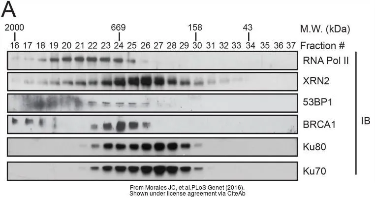 The data was published in the journal PLoS Genet in 2016. PMID: 27437695