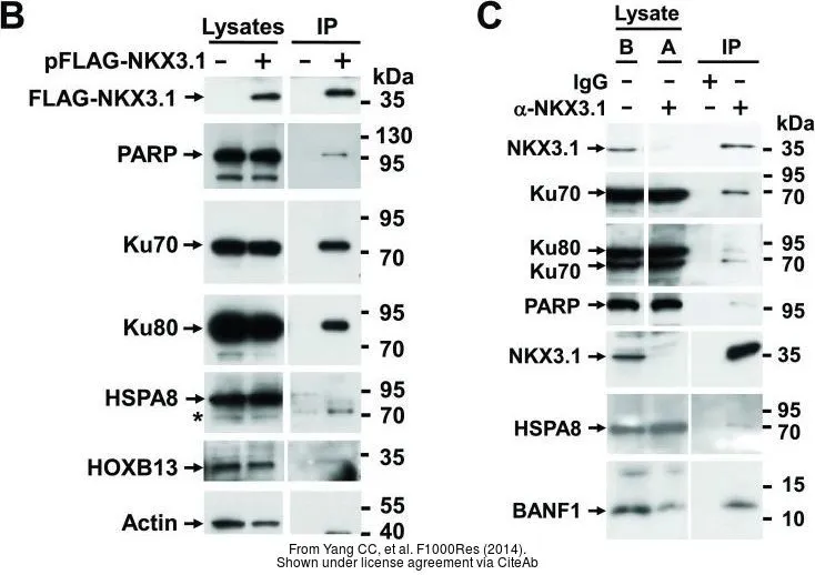 The data was published in the journal F1000Res in 2014. PMID: 25177484