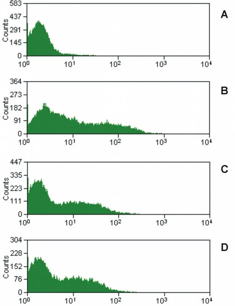 FACS analysis of pig peripheral blood using GTX24203 CD16 antibody [MEM-168]. Cells in the granulocyte gate were used for analysis. Panel A : Isotype mouse IgM control Panel B, C, D : three different pig PMBC samples stained with GTX24203