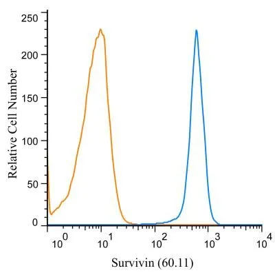 FACS (Intracellular staining) analysis of Daudi cells using GTX24470 Survivin antibody [60.11]. Blue : Primary antibody Orange : isotype control Dilution : 1 microg/mL Fixation : 4% PFA Permibilization : 0.1% saponin