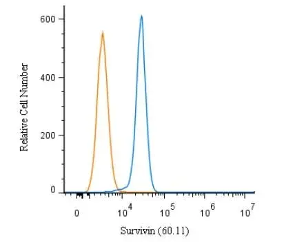 FACS (Intracellular staining) analysis of A549 cells using GTX24470 Survivin antibody [60.11]. Blue : Primary antibody Orange : Isotype control Dilution : 1 microg/mL Fixation : 4% PFA Permibilization : 0.1% saponin